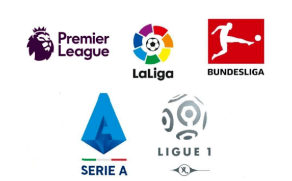 倾心培养 倾心培养