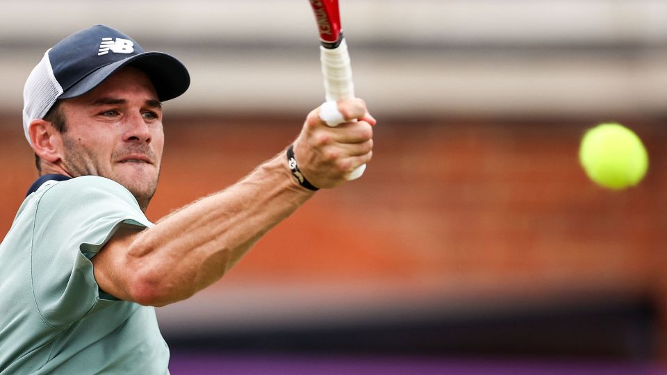 宣告彻底无 宣告彻底无