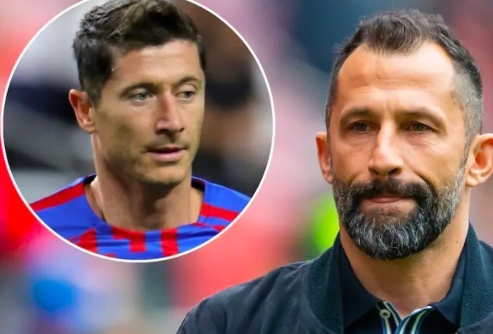 到最强阵容 到最强阵容